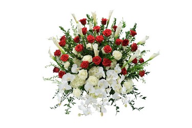 sympathy flowers delvery dallas florists