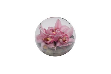 Bubble Bowl of Orchids from Dallas Sympathy Florist in Dallas, TX