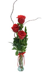 Rose Vase from Dallas Sympathy Florist in Dallas, TX