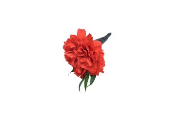Carnation Boutonniere from Dallas Sympathy Florist in Dallas, TX